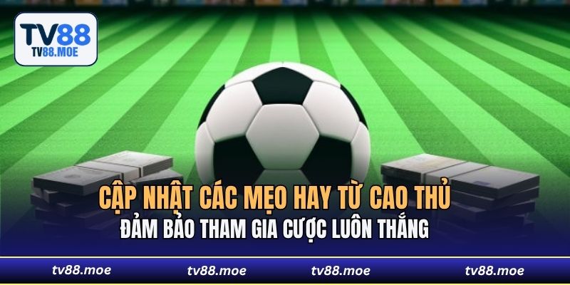 Cập nhật các mẹo hay từ cao thủ đảm bảo tham gia cược luôn thắng 
