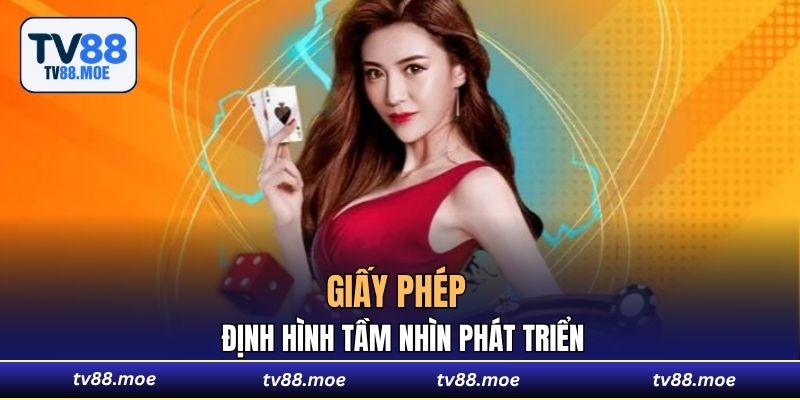 Giấy phép định hình tầm nhìn phát triển.