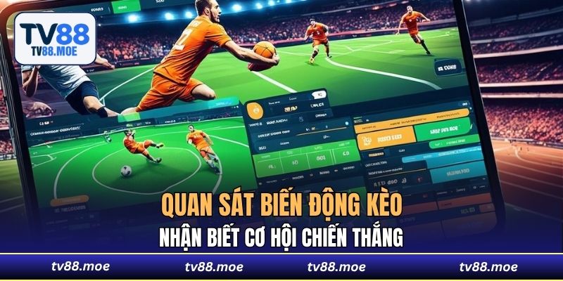 Quan sát biến động kèo giúp nhận biết cơ hội chiến thắng
